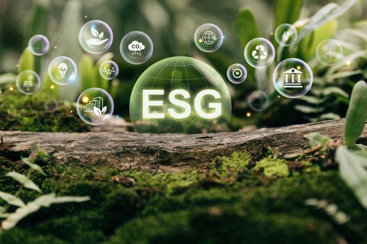 Which Sustainability Skills Are in High Demand | CIO Women Magazine