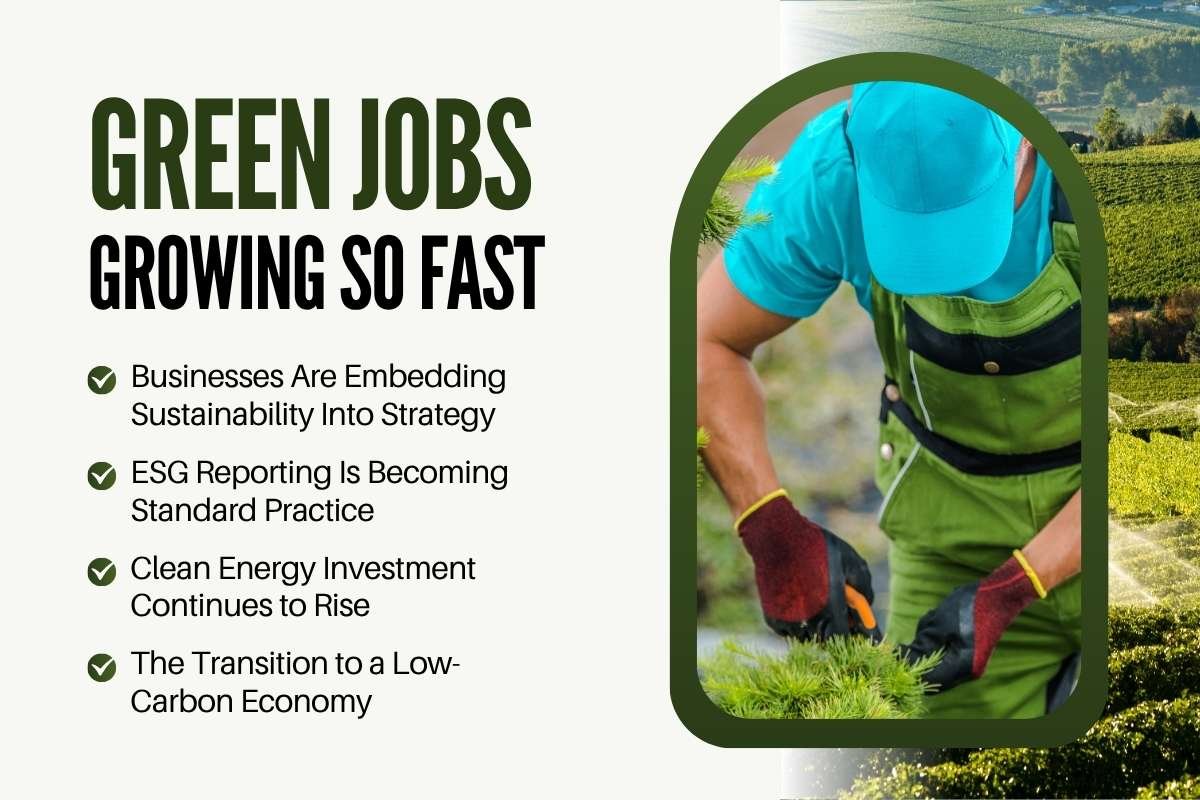 Why Are Green Jobs Growing So Fast | CIO Women Magazine