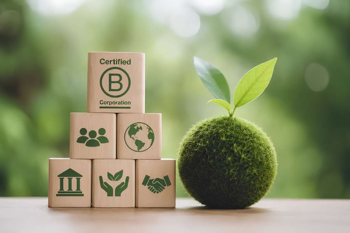 B Corp Certification vs ESG Reporting: Which Is Right? | CIO Women Magazine