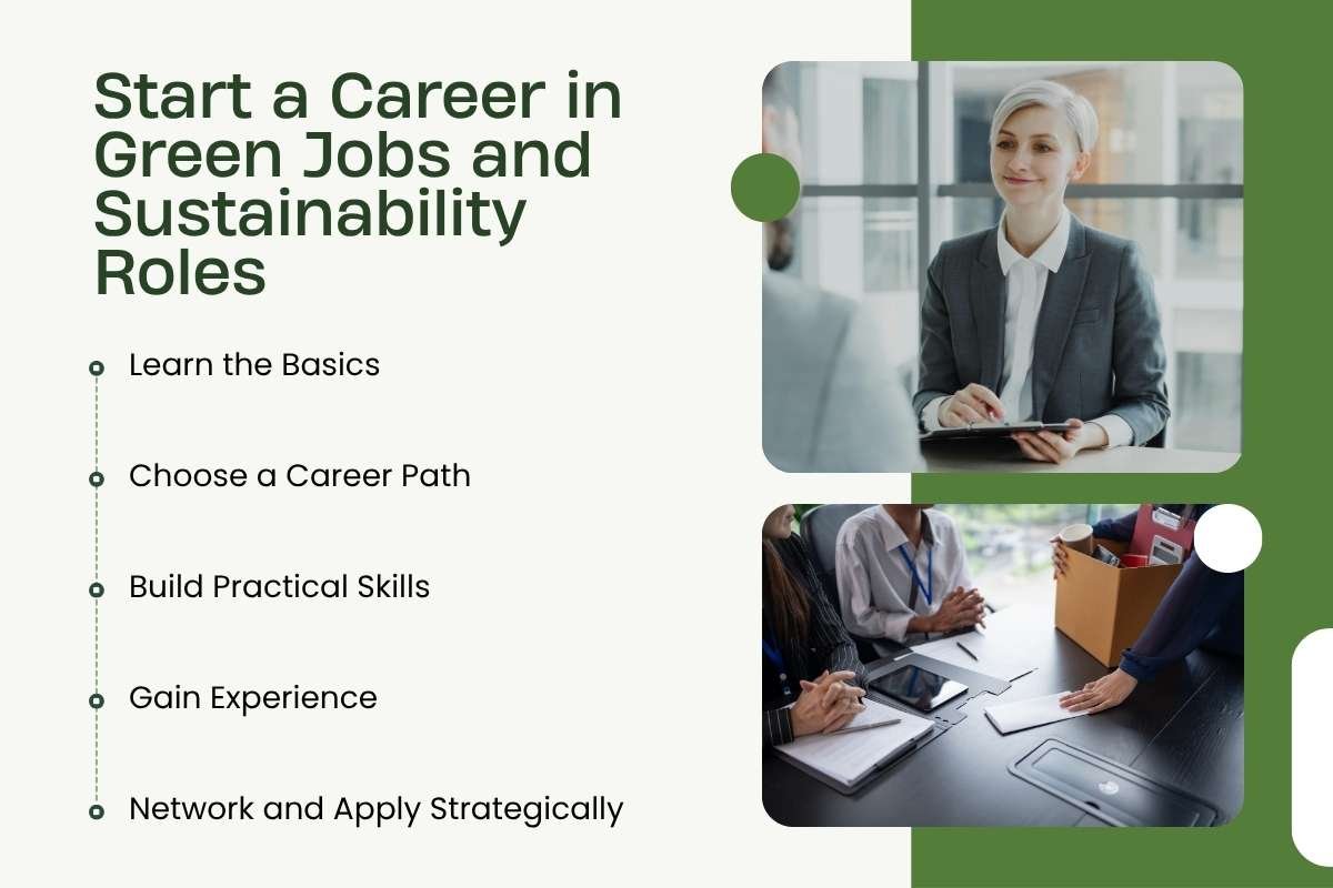 How to Start a Career in Green Jobs and Sustainability Roles | CIO Women Magazine