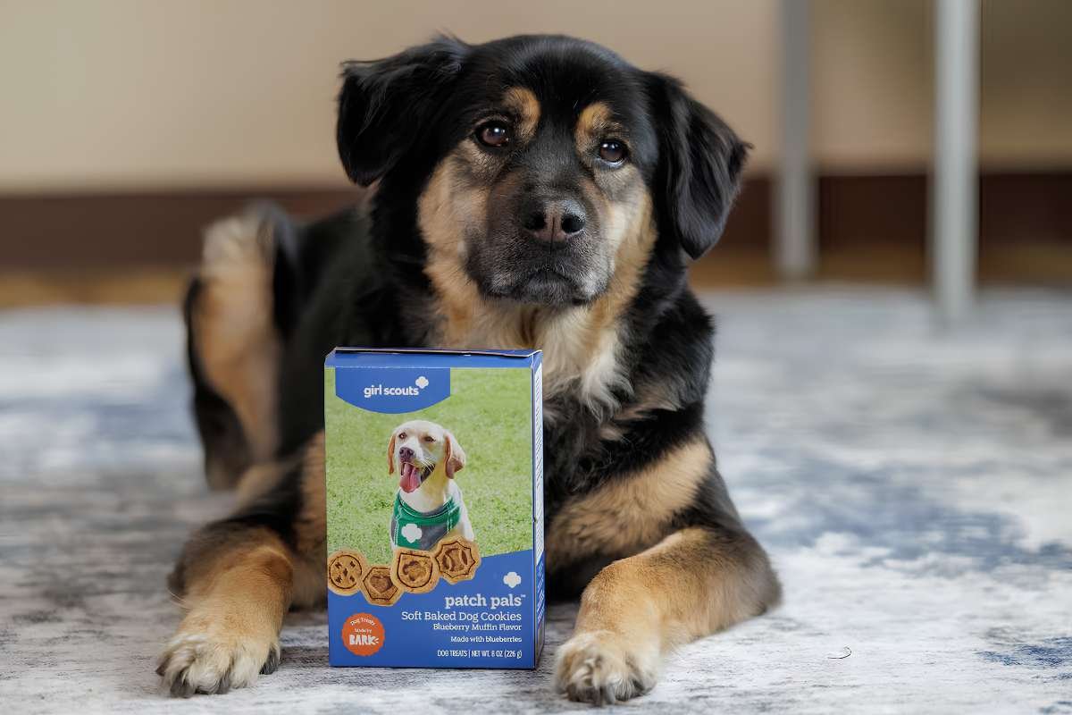 Girl Scout cookies 2027: New Dog Treat & Allergy-Friendly Options | CIO Women Magazine